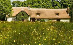 Hay Meadow Farm